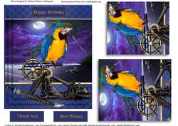 Parrot on a Pirate Beach & Pyramid Layers