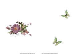 Flowers Vintage Birds with Butterflies Insert