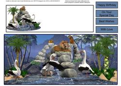 Exotic Birds Dlong with Insert