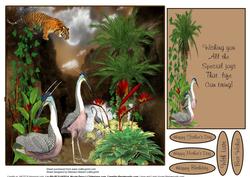 Exotic Birds Quick Topper Insert and Verse