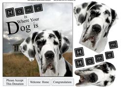 Home with Harlequin Great Dane Dog and Decoupage
