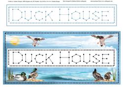Duck House Prick and Stitch Dl