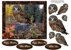 Scenic Fall Owls Topper with Decoupage