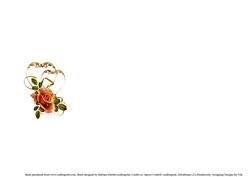 Golden Hearts Anniversary Insert Blank