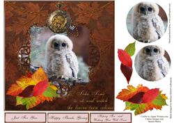 Watching Owl Fall Topper with Layers