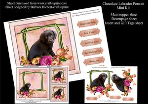 Chocolate Labrador Portrait Mini Kit