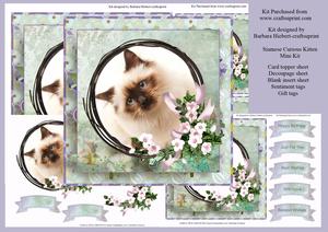 Siamese Curious Kitten Mini Kit