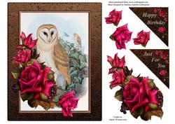 Owl and Roses Two Card Topper and Decoupage