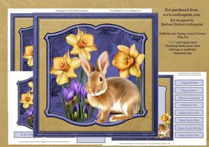Daffodils and Spring Crocus Flowers Mini Kit