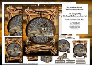 Wolf Native Dreams Mini Kit