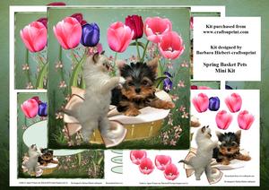 Spring Basket Pets Mini Kit