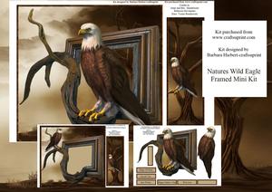 Natures Wild Eagle Framed Mini Kit