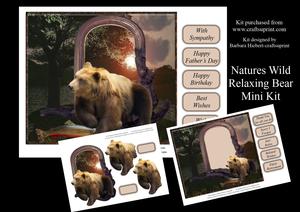 Natures Wild Relaxing Bear Mini Kit