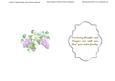 Spring Birds and Lilac Flowers on Blue Sympathy Insert