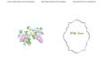 Spring Birds and Lilac Flowers on Blue with Loveinsert