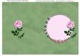 The Rocking Horse & Roses Insert