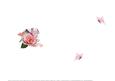 Up in the Stars with Pink Rose Insert