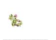 Garden Sneaks Insert Blank