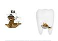 Pirate Teddy Bear Tooth Fairy Insert