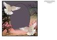 Scenic Doves Grey Sky Insert