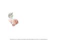 Rose Heart Angel Insert