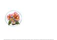 Blooming Flowers and Birds Insert