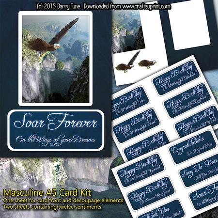 On the Wings of Your Dreams Masculine A5 Card Kit.