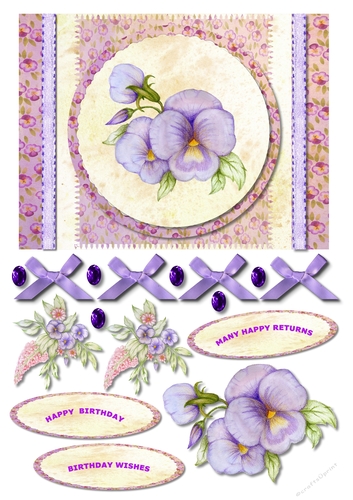 Birthday - Floral - Pansy