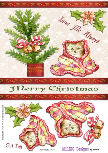 Christmas - Cat In Blanket 