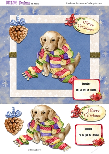 Christmas - Cosy Dog