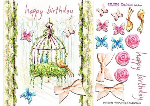 Birthday - Birds & Cage