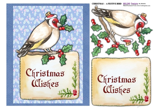 Christmas - Festive Bird