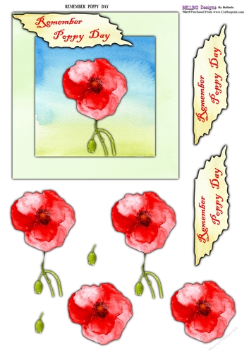 Poppy - Remember Poppy Day