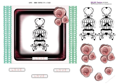 Love - Bird Couple In A Cage