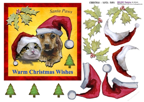 Christmas - Santa Paws - Cat & Dog