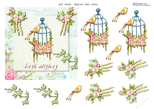 Floral - Birdcage & Bird