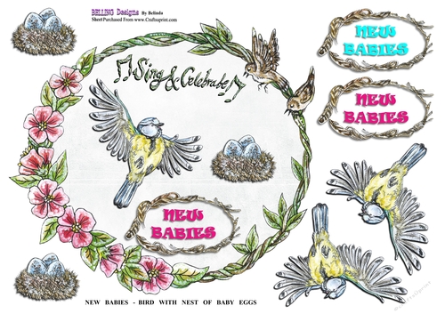 New Babies - Bird With Nest Eggs