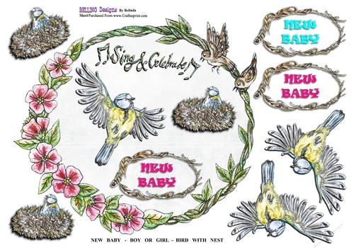 New Baby - Boy Or Girl - Bird With Nest