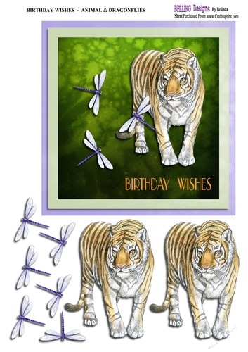 Birthday Wishes - Animal & Dragonflies