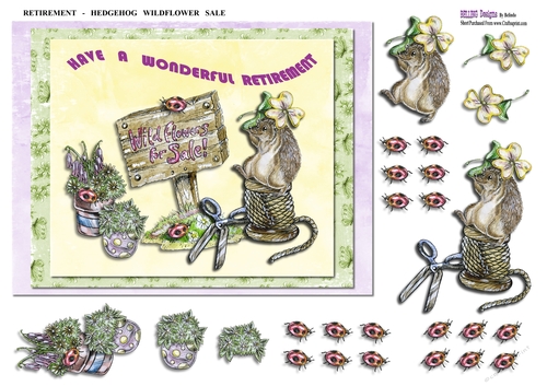 Retirement - Hedgehog Wildflower Sale