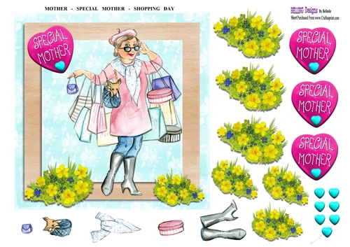 Mother - Special Mother - Shopping Day