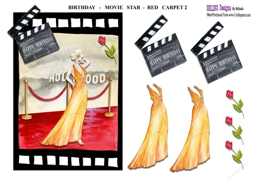 Birthday - Movie Star - Red Carpet 2