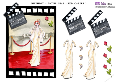 Birthday - Movie Star - Red Carpet 3