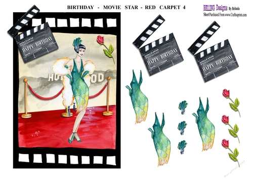 Birthday - Movie Star - Red Carpet 4