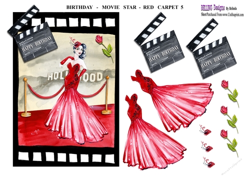 Birthday - Movie Star - Red Carpet 5