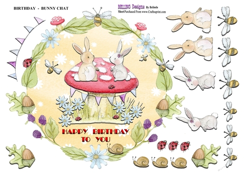 Birthday - Bunny Chat