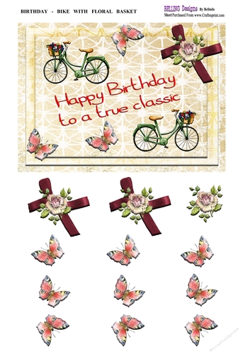 Birthday - Bike With Floral Basket