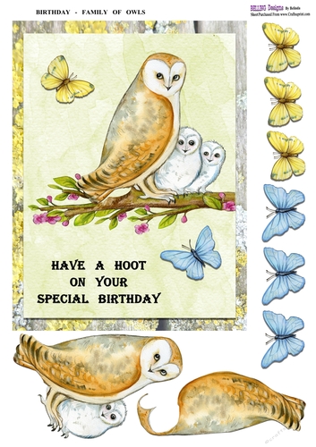 Birthday - Family Of Owls