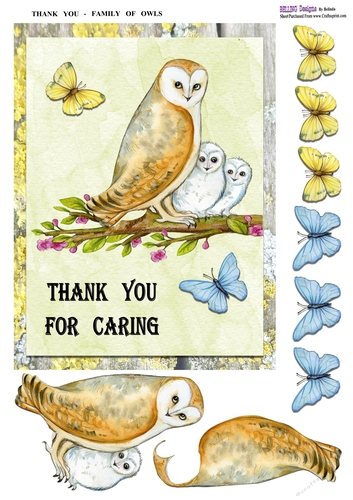 Thank You - Family Of Owls