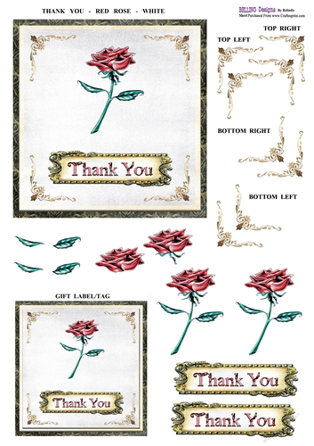 Thank You - Red Rose - White